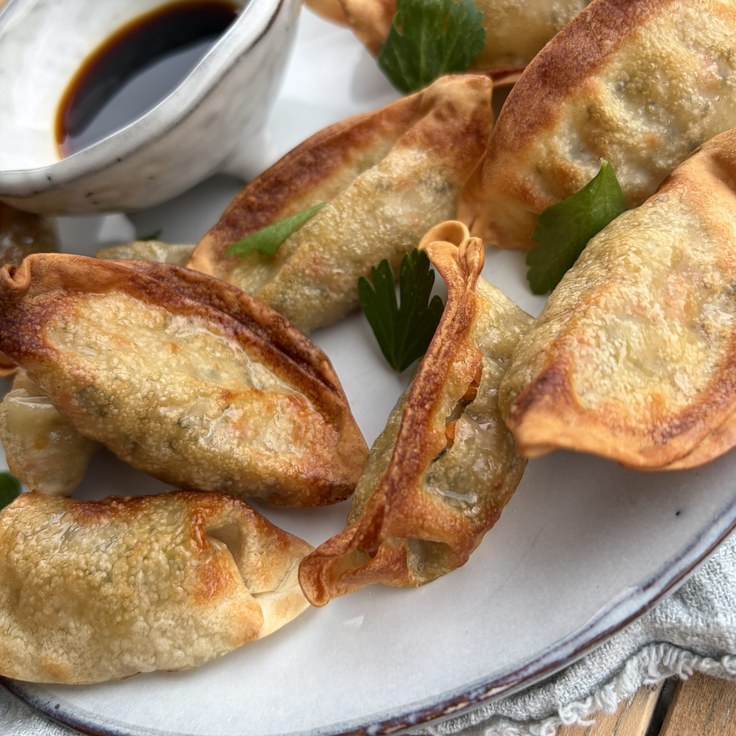 Airfryer Gyoza